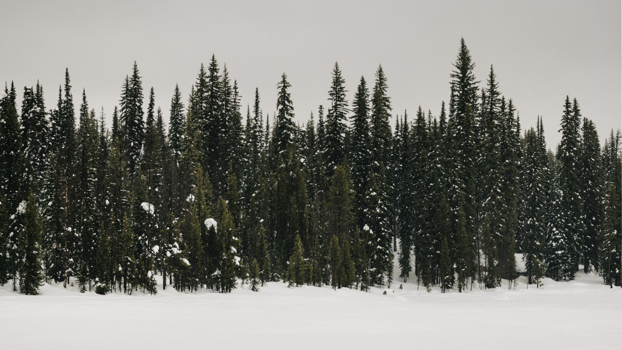 Small Elk Lake Resort Winter Wedding Bend Oregon 