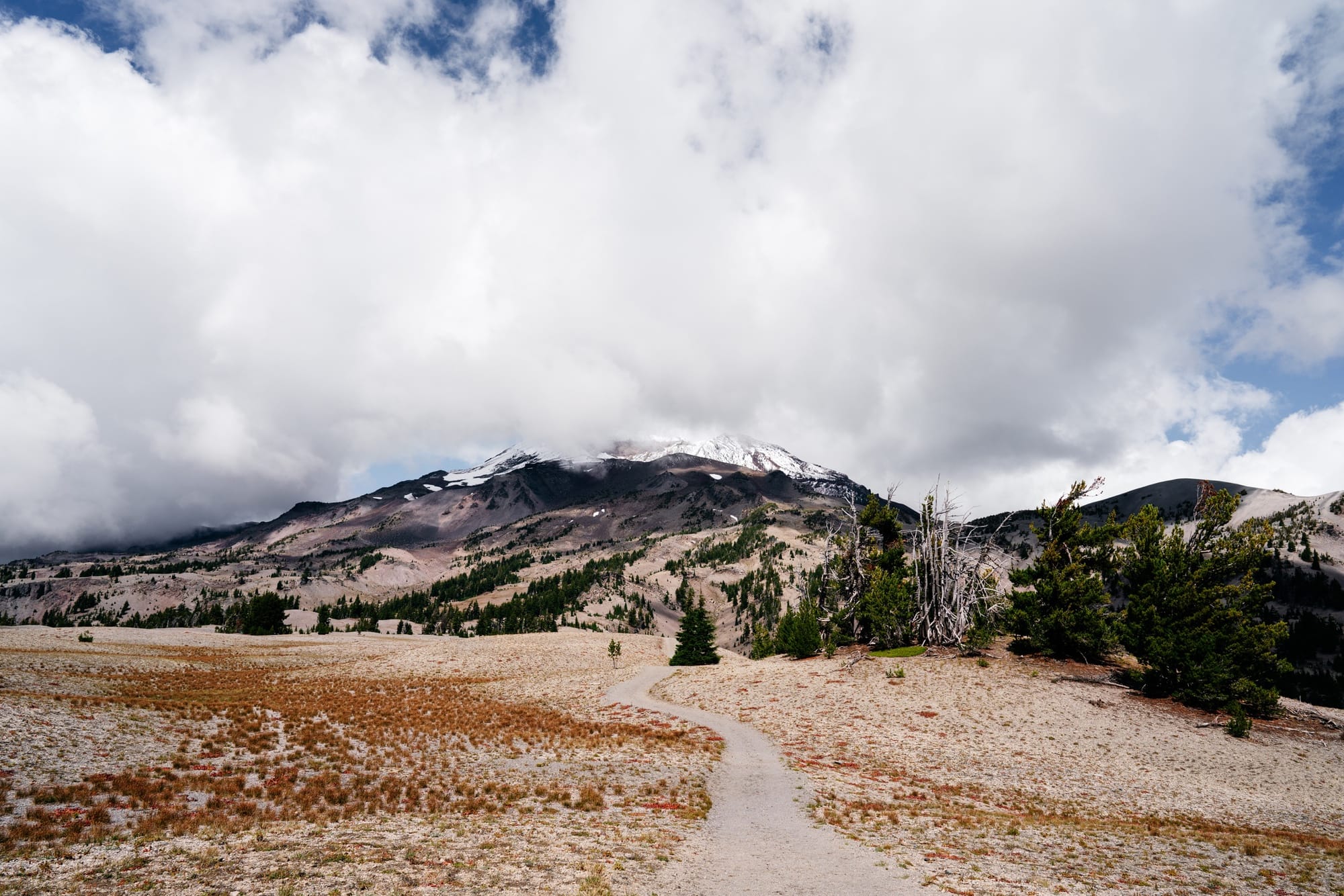 South Sister