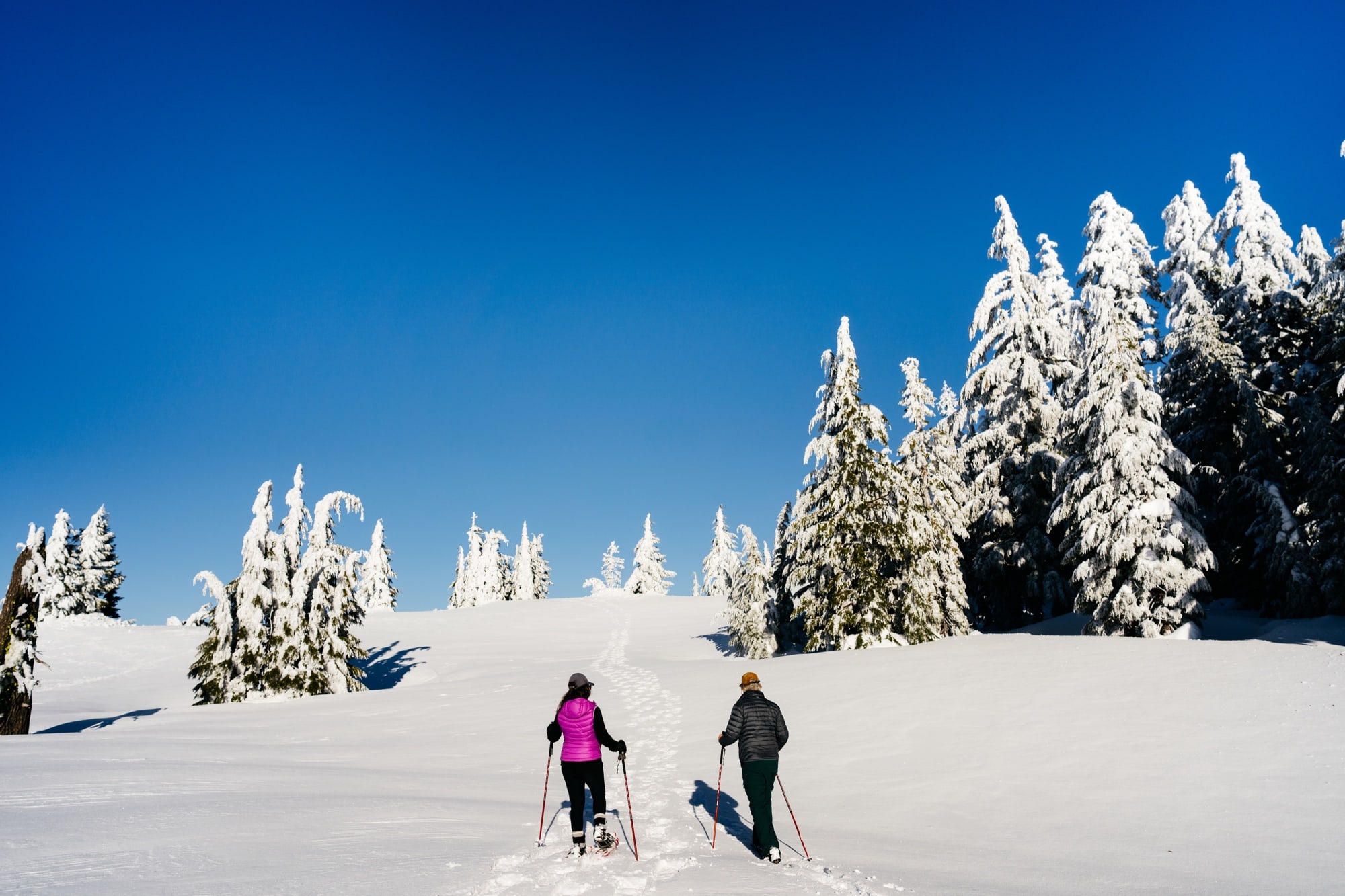 Crater Lake Winter elopement